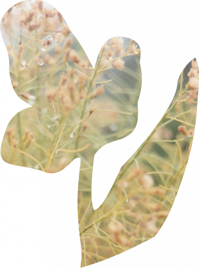 Wheat field flower cutout